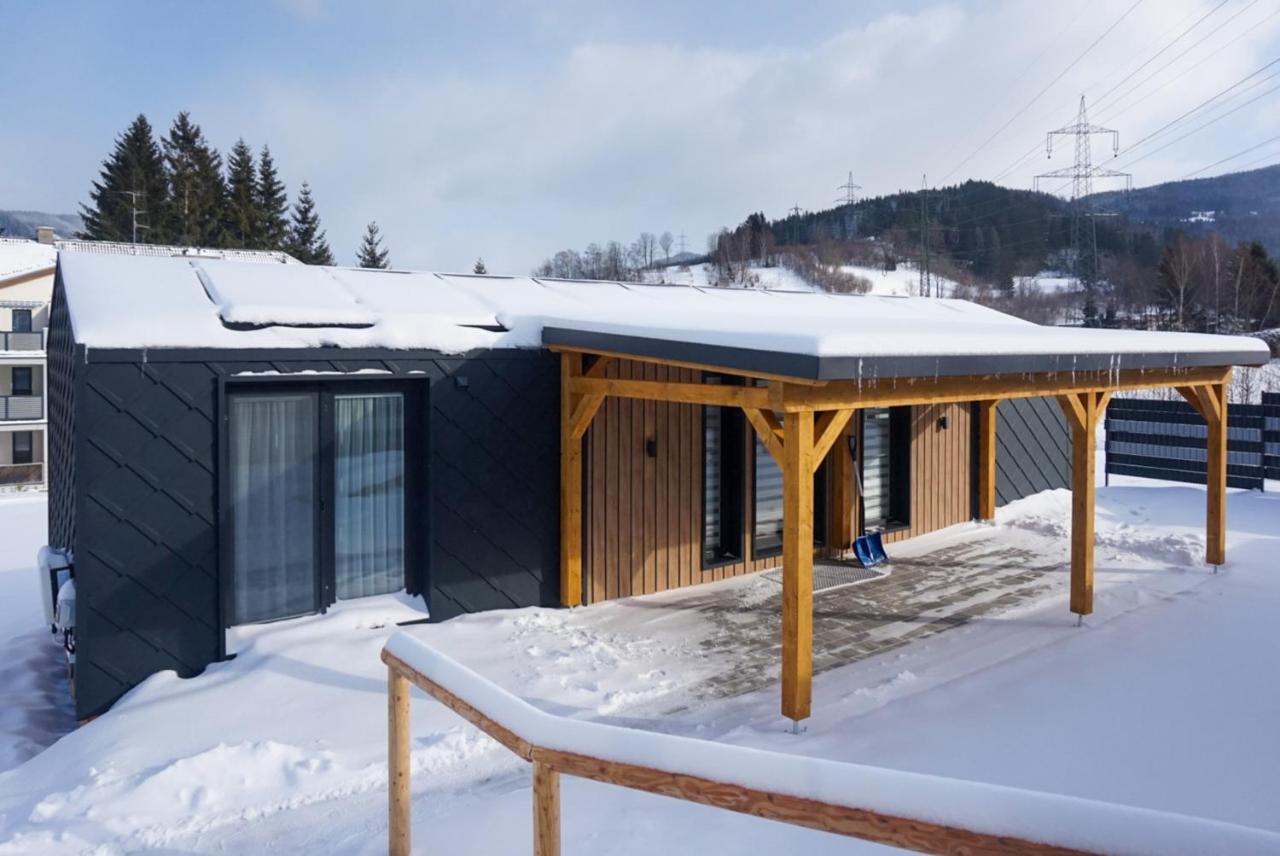 Chalet Stuhleckblick-Ferienhaus Direkt An Der Piste Und Mit Eigener Sauna Шпитал ам Земеринг Екстериор снимка